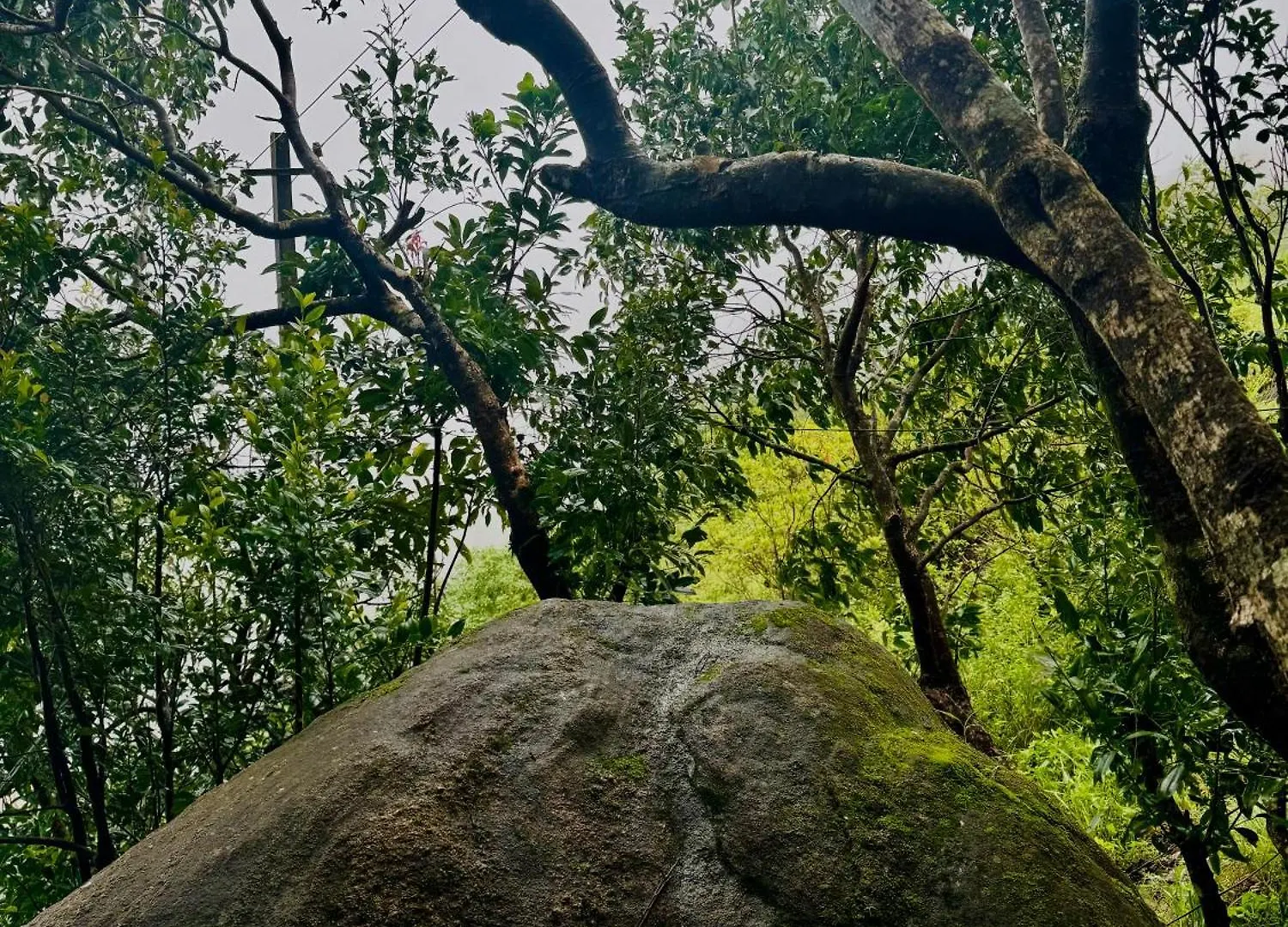 Jmount Vagamon Resort